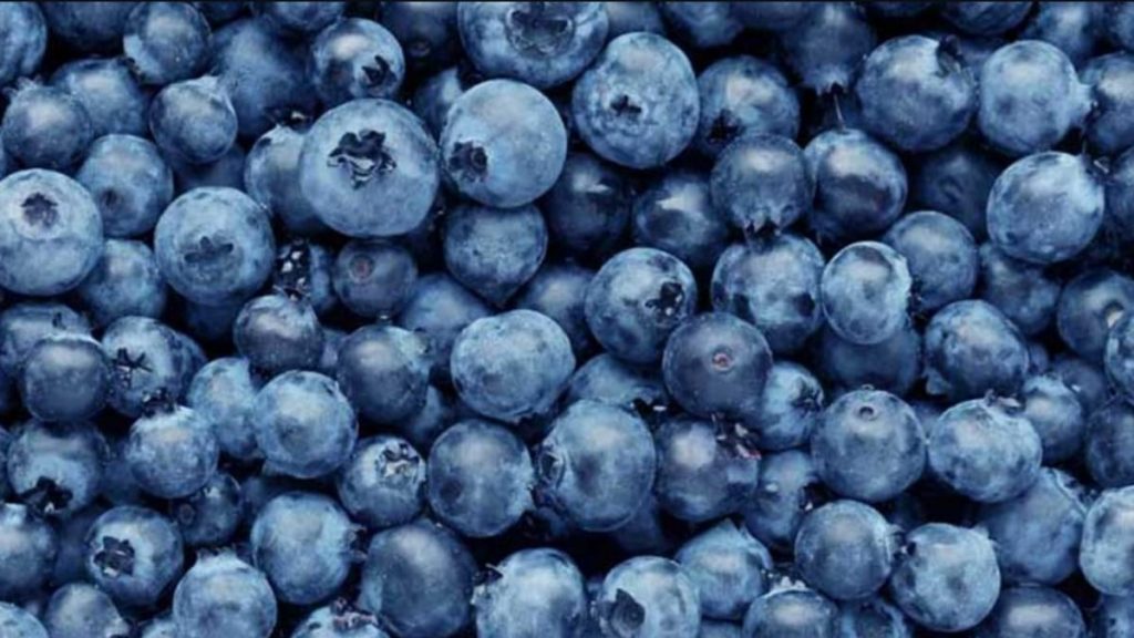 Food for Better Brainpower 4 Blueberries