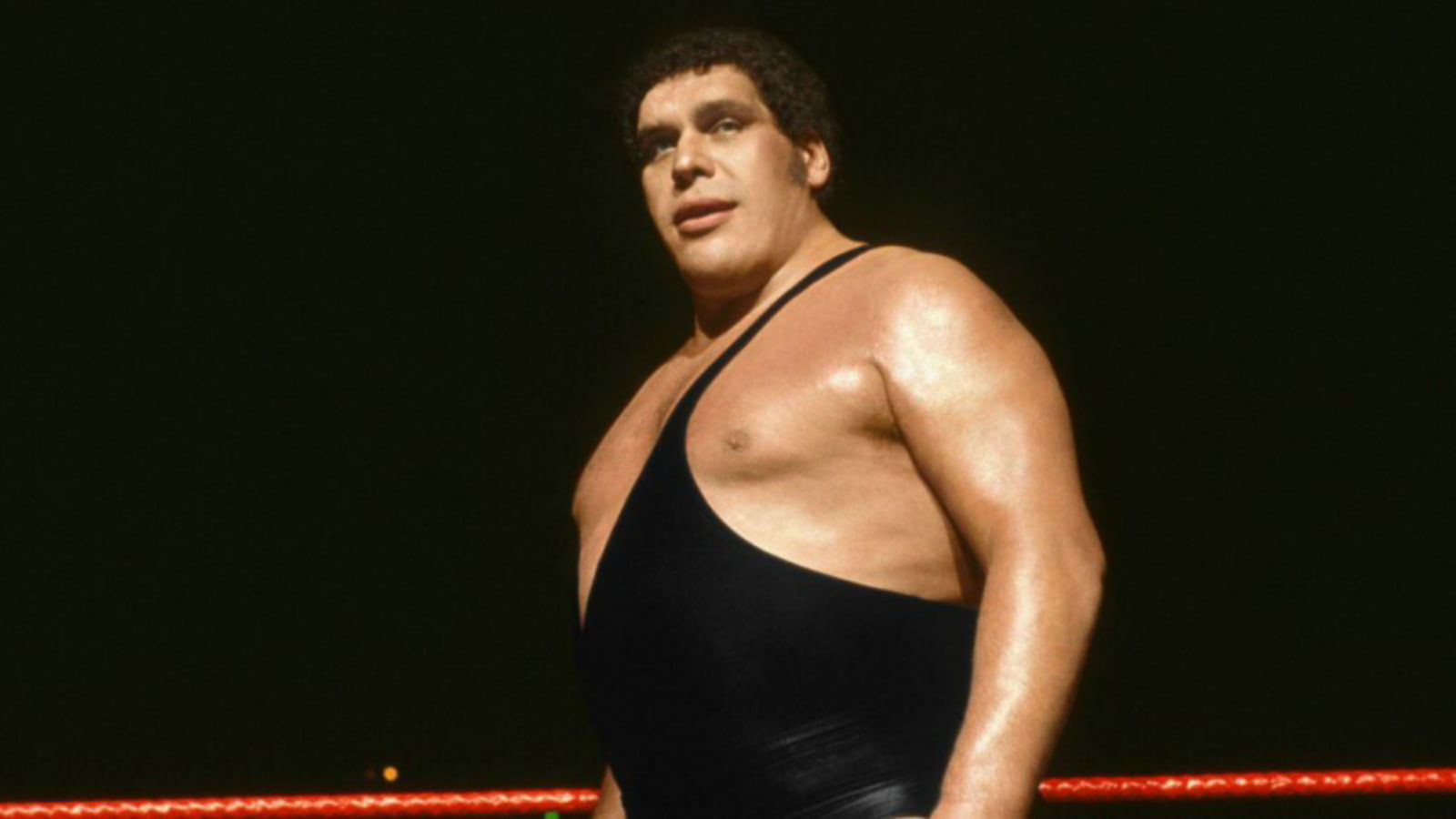 How did Andre The Giant Die? The tragic story behind WWE Superstar Andre the Giant’s death