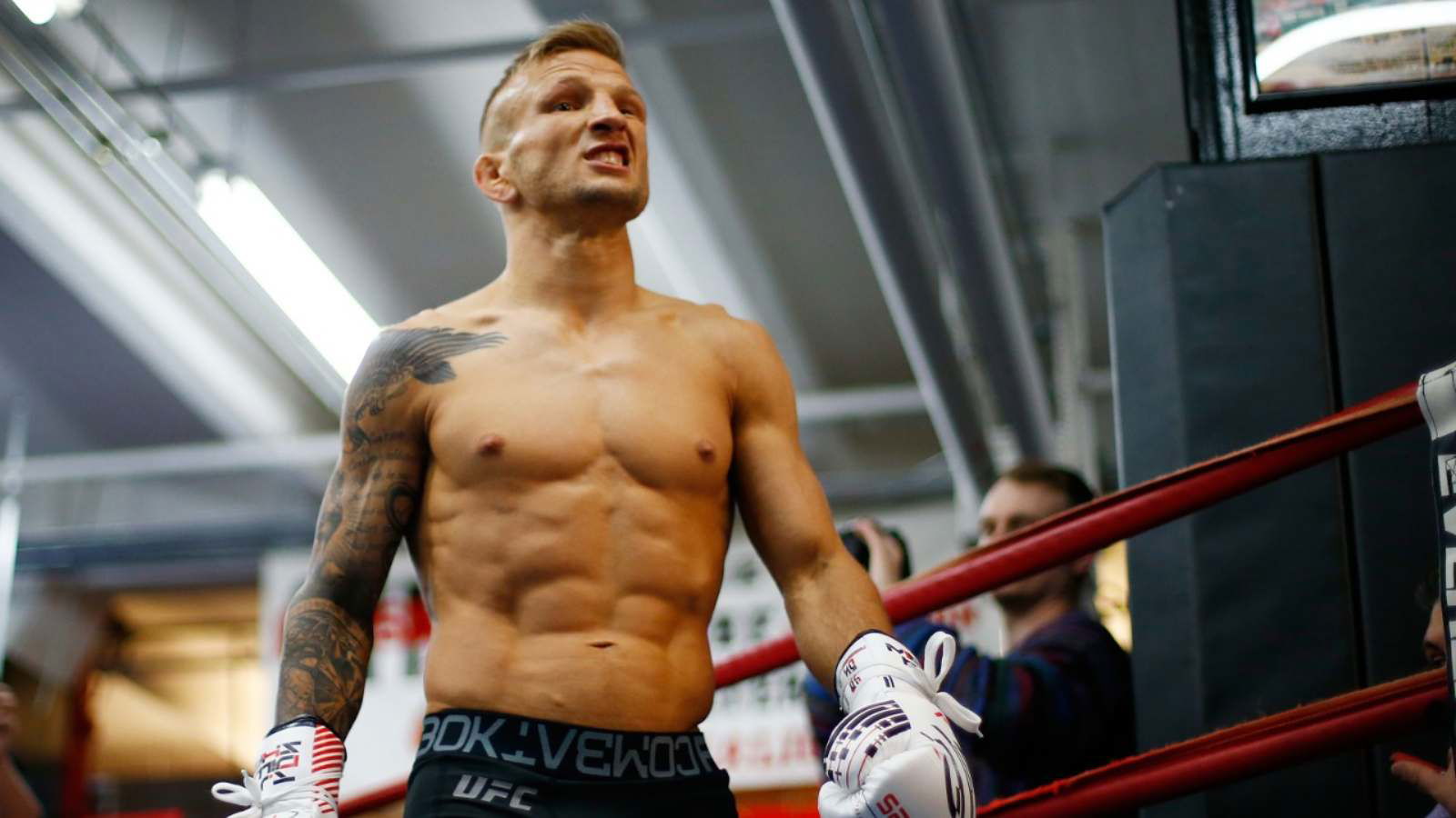 TJ Dillashaw Net Worth, MMA Career, Income, Personal life, massive