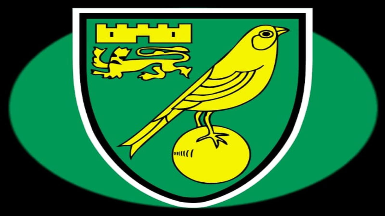 Who Is The Owner of Norwich City FC?