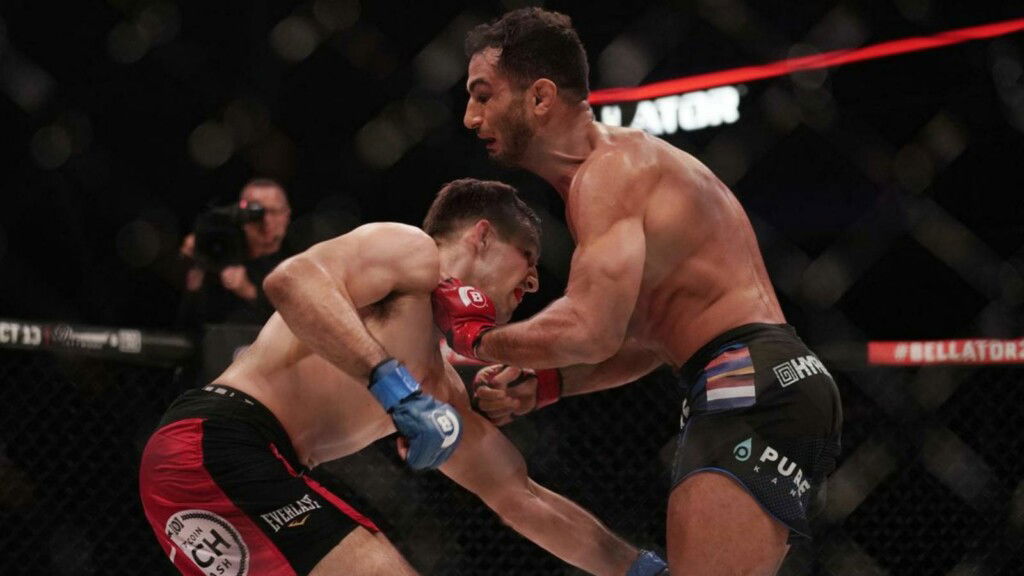 Bellator 264: Gegard Mousasi def John Salter via TKO and defends his Bellator Middleweight title 1 Gegard Mousasi