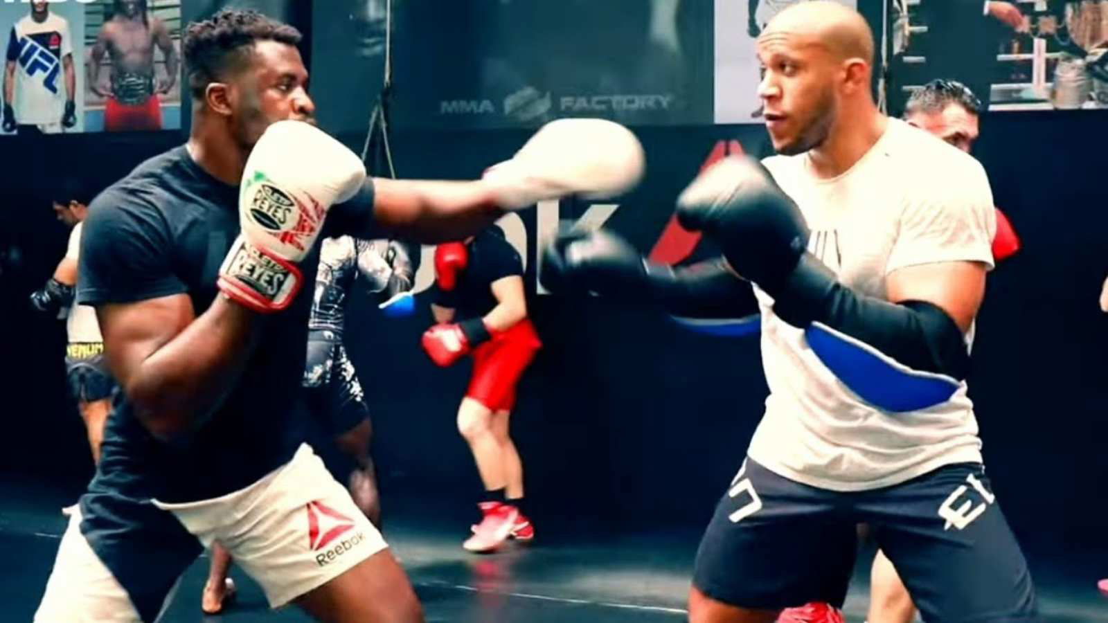 Coach Fernand Lopez: Francis Ngannou tried to stop the UFC from signing Ciryl Gane