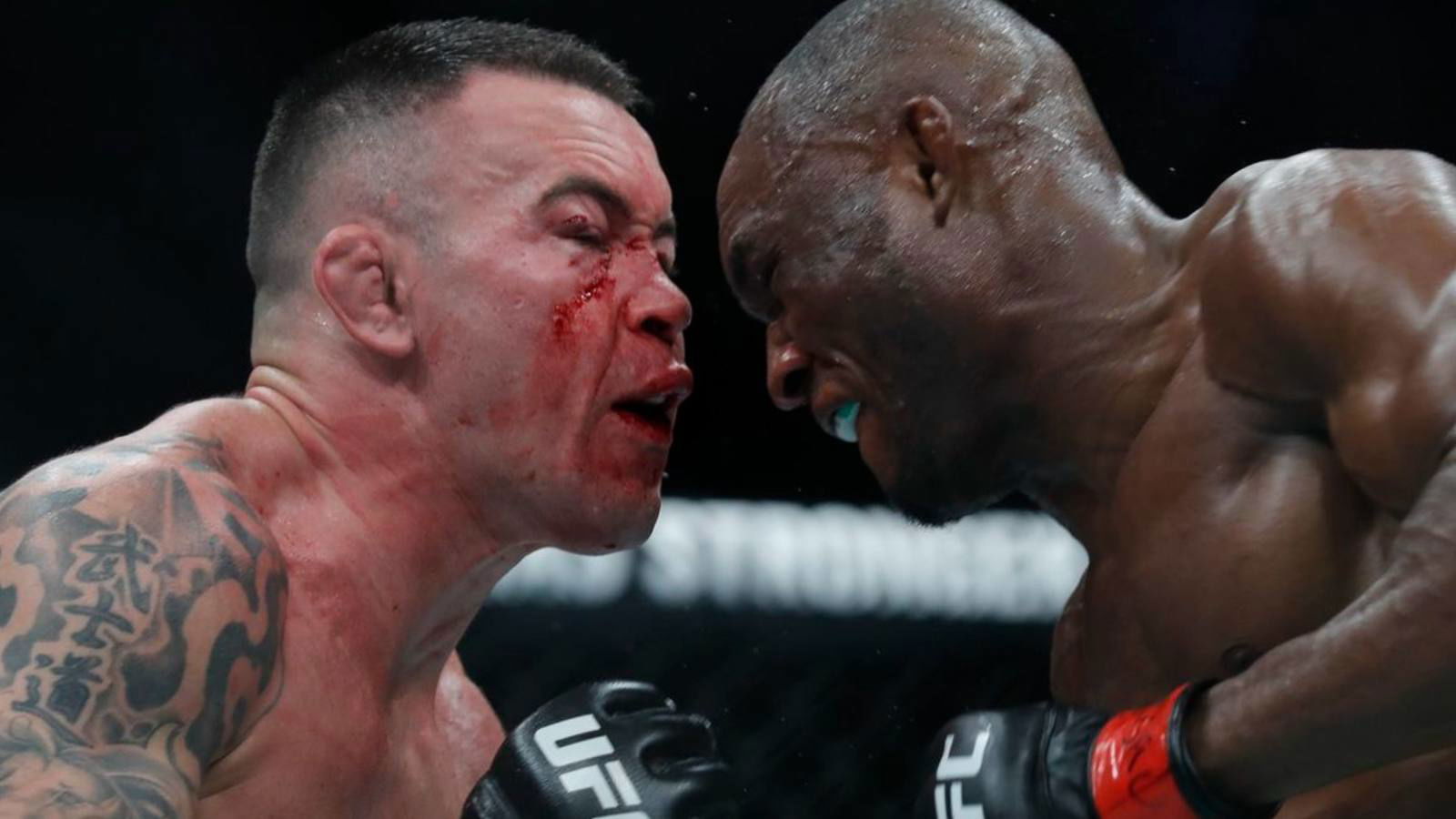 Top 5 epic UFC rematches of 2021