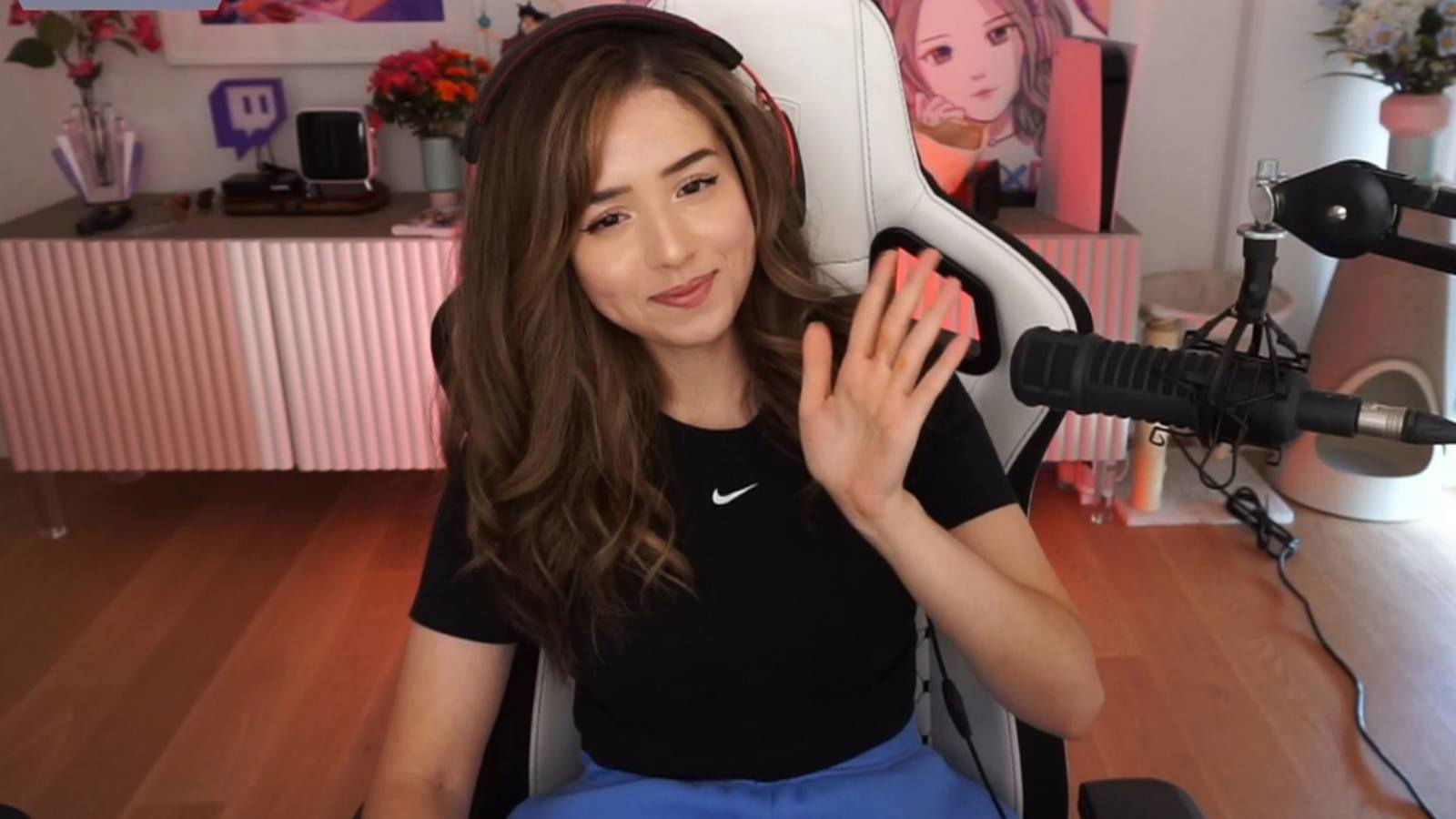 Pokimane has a fan show up at her house and its hilarious