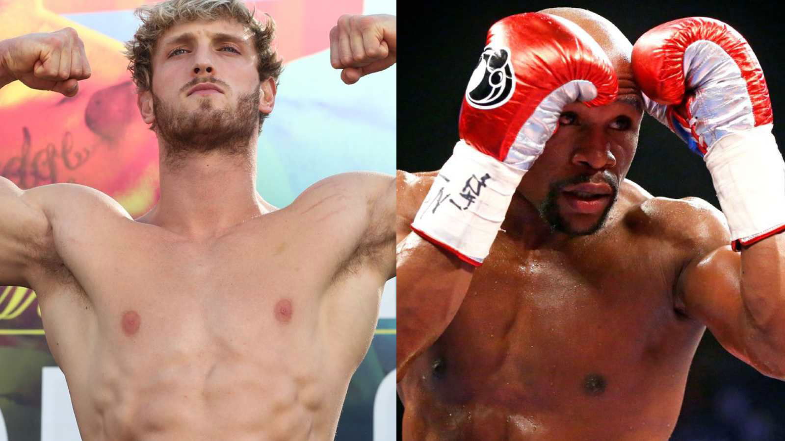 “It’s been 6 months”- Logan Paul flames Floyd Mayweather for failing to pay him for their fight