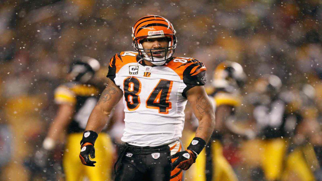 T. J. Houshmandzadeh