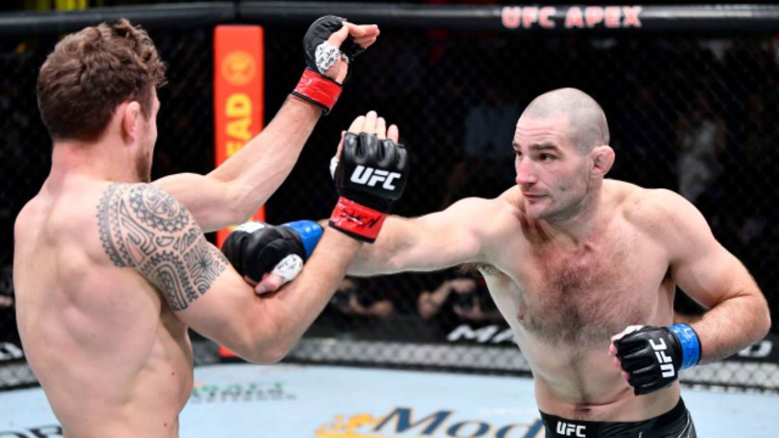 “I’ll suck that D bro”- Sean Strickland is ready to fight anytime as long as UFC pays him