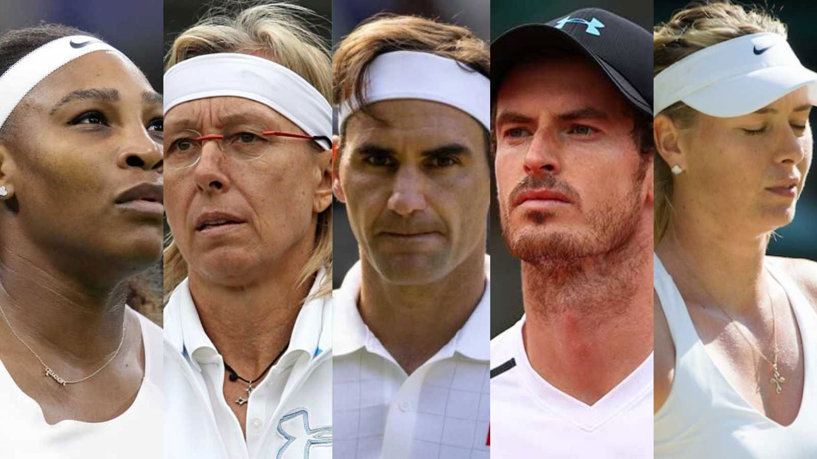 Tennis players lose followers on Twitter since Elon Musk’s acquisition, Martina Navratilova and Andy Murray react