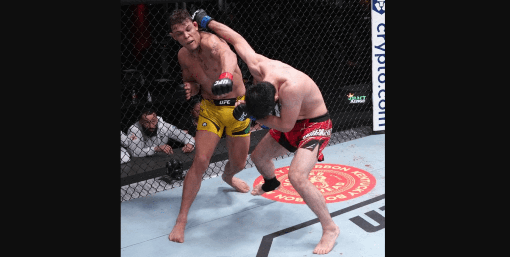 Caio Borralho vs Gadzhi Omargadzhiev