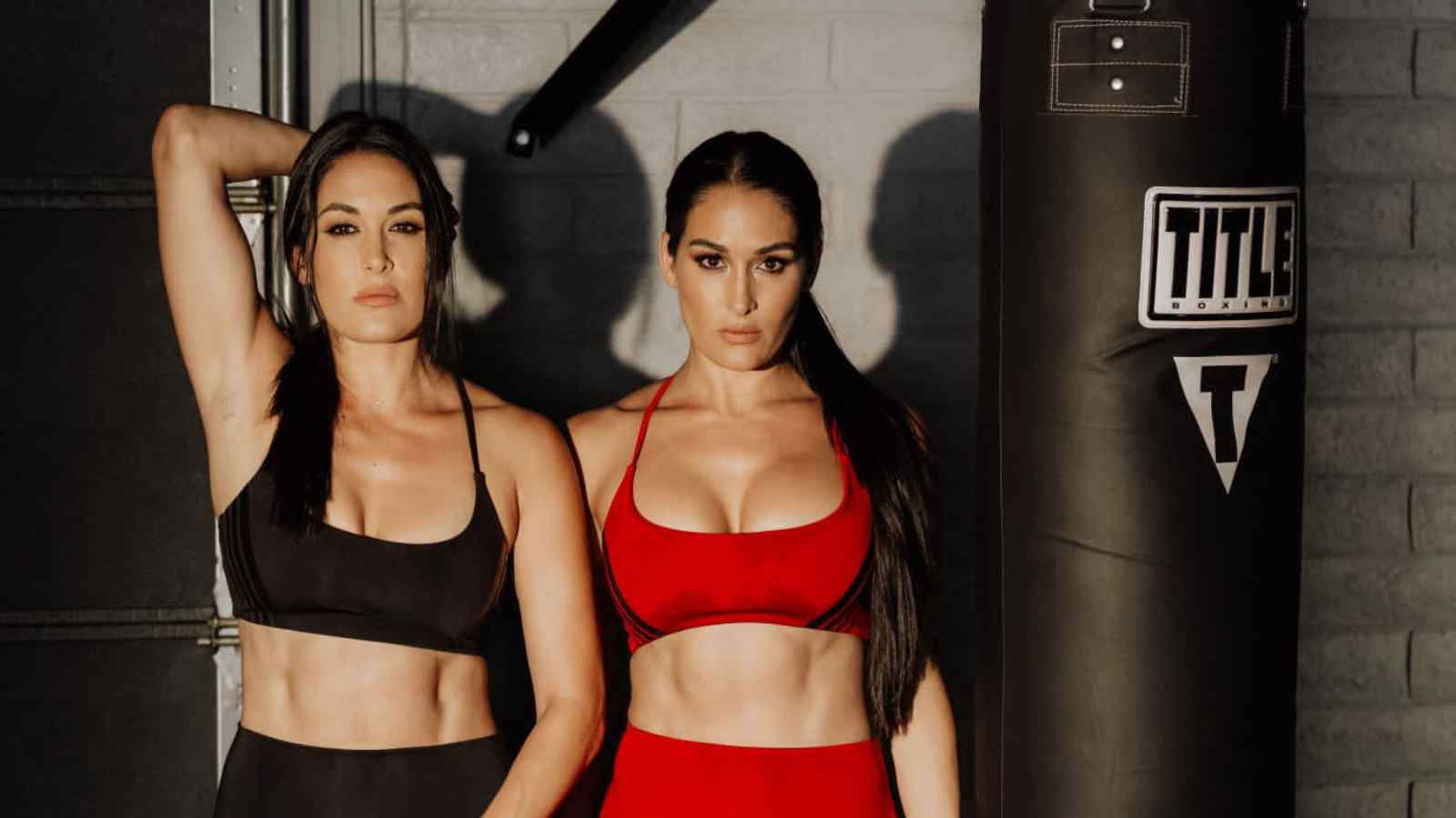 “I think we should go back and do this at WrestleMania”- The Bella Twins reveals that they always keep up with the current product