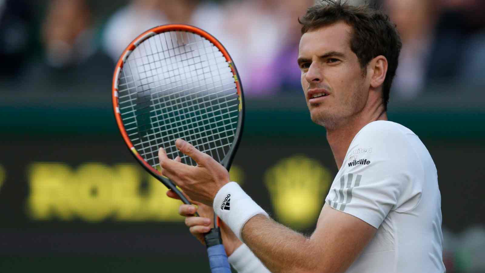 Andy Murray gives an insight on how close he is to retiring from the sport