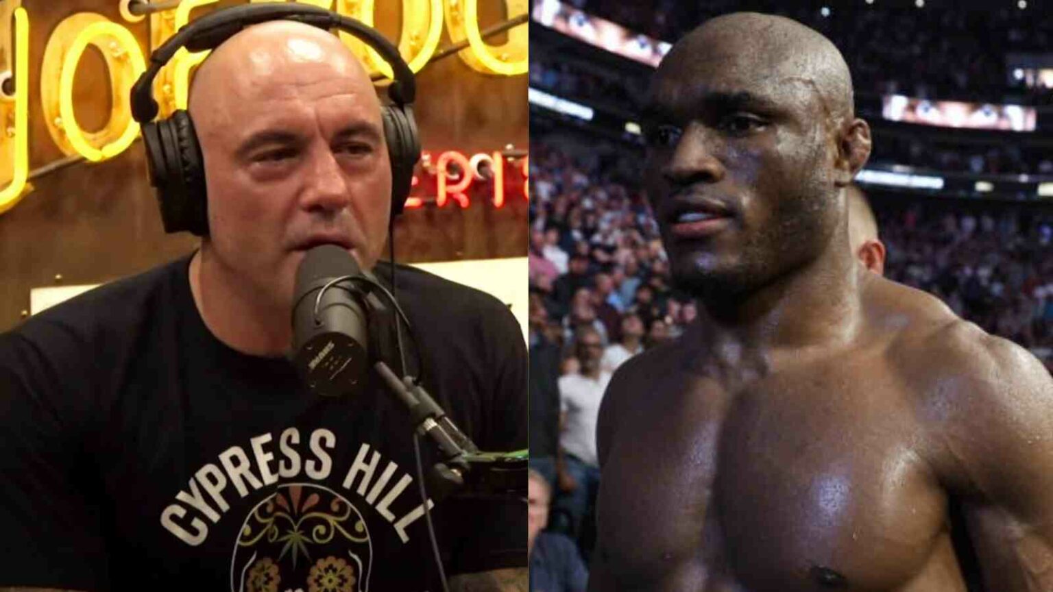 Leon Edwards Joe Rogan