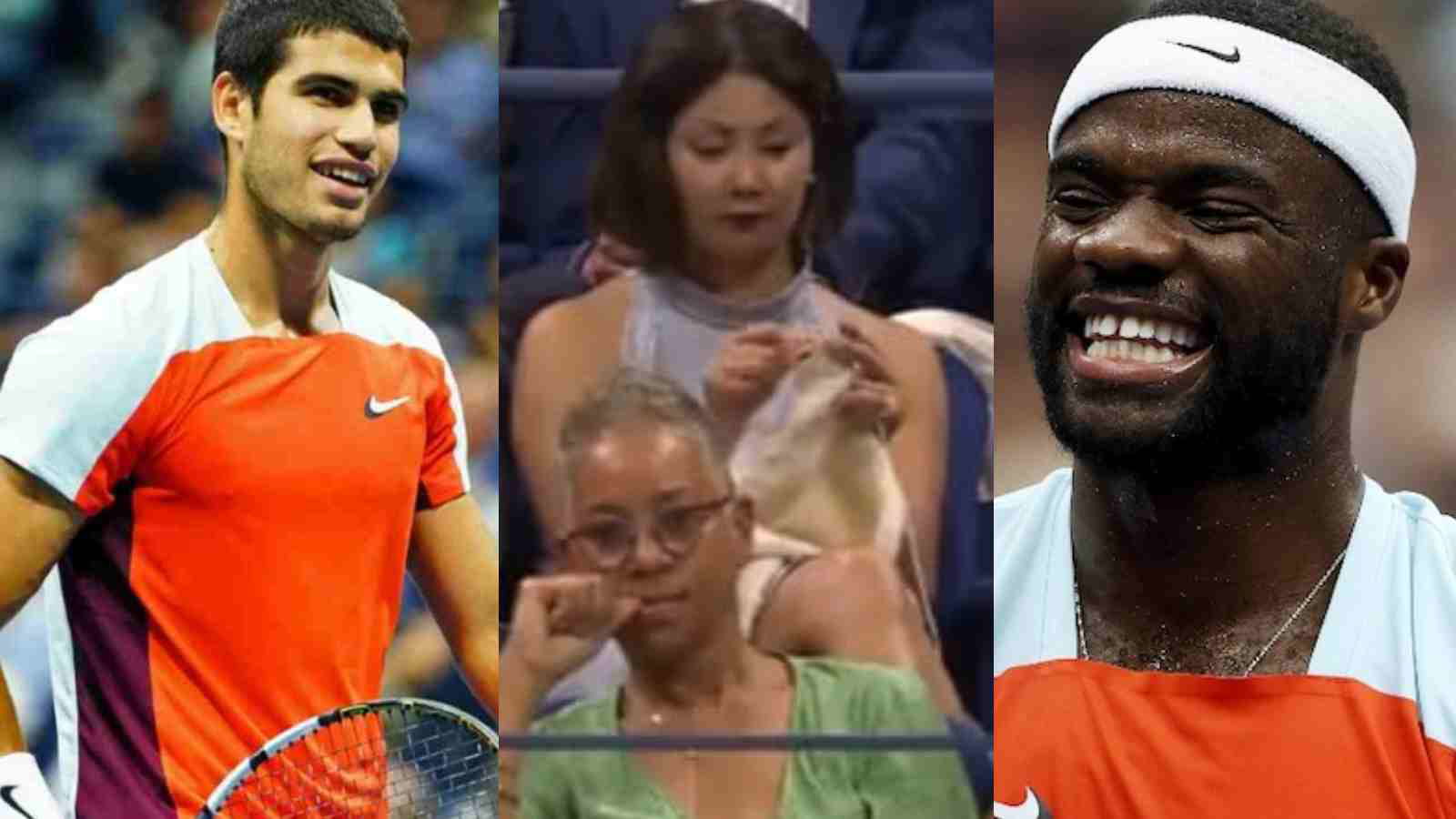 “Send that B**ch home” Fan seen knitting in the crowd in a ‘WILD’ incident during the US Open semi-final between Carlos Alcaraz and Frances Tiafoe