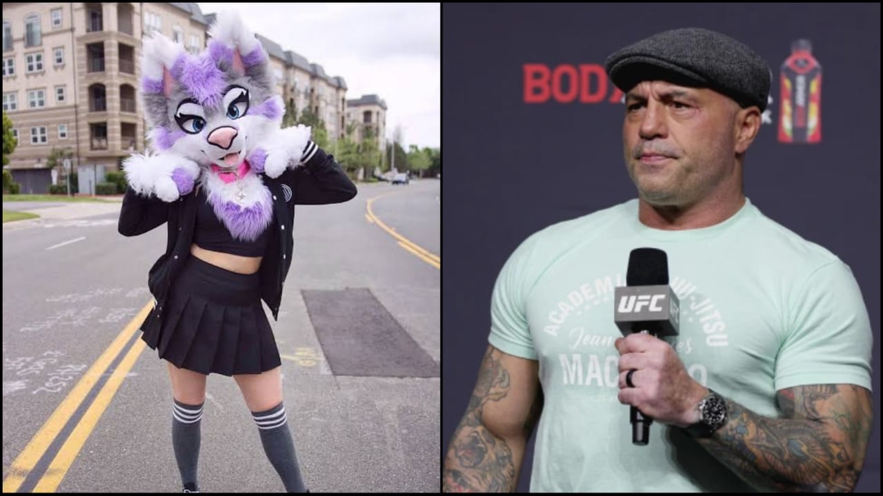 Joe Rogan is disgusted as he repeats a false claim about students identifying as “Furries” urinating in litter boxes in American Schools