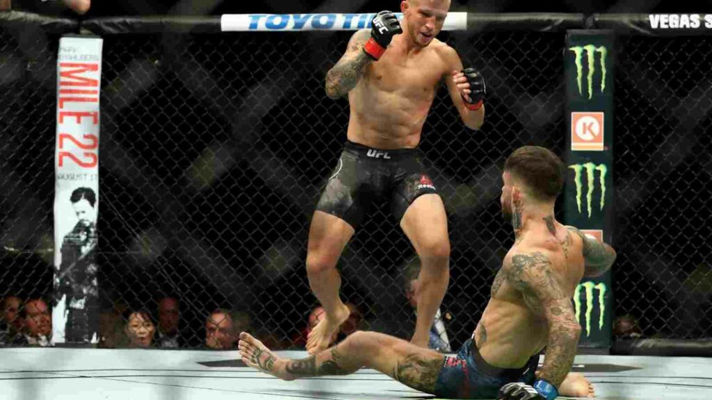 TJ Dillashaw (on top) drops Cody Garbrandt before finishing him