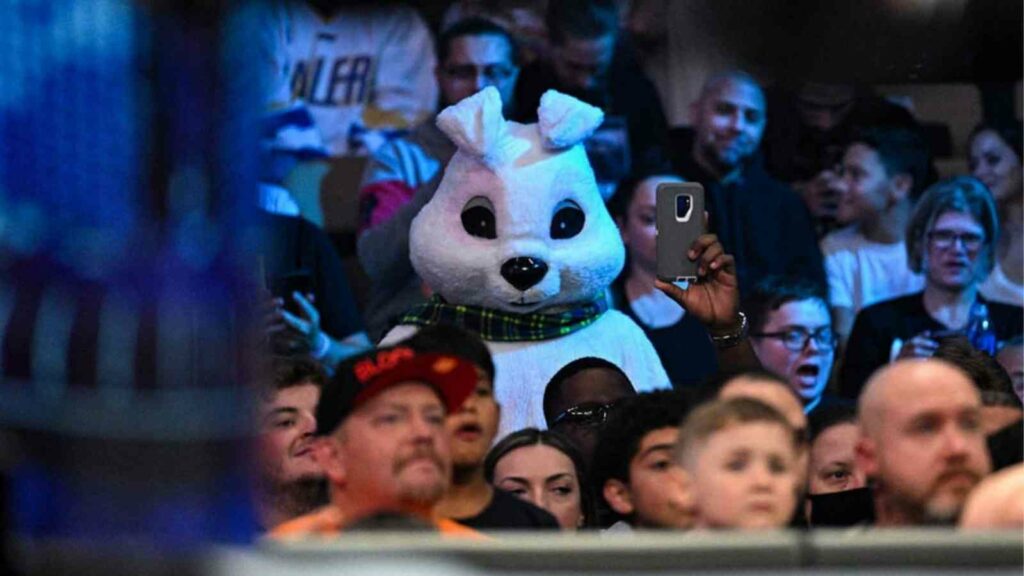 White Rabbit in the crowd 