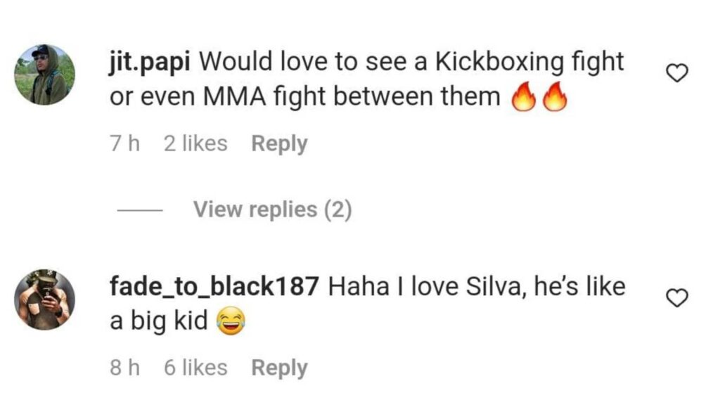 Anderson Silva vs GSP comments section