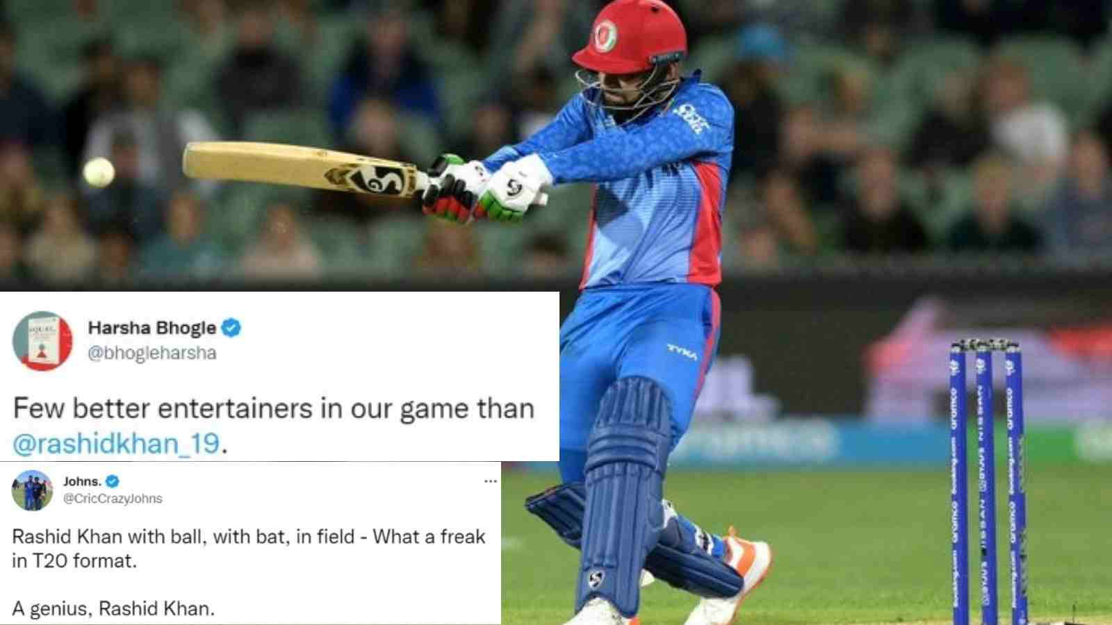 “Really feel for Rashid”- Aussies survive Rashid Khan scare to keep their semi-final hopes alive; sets Twitter ablaze