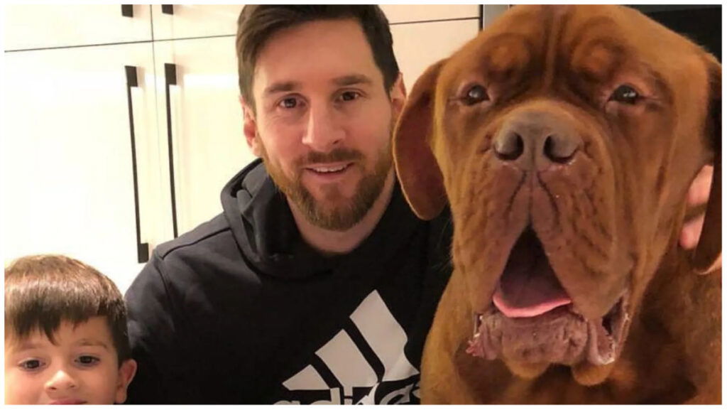 Lionel Messi dog breed