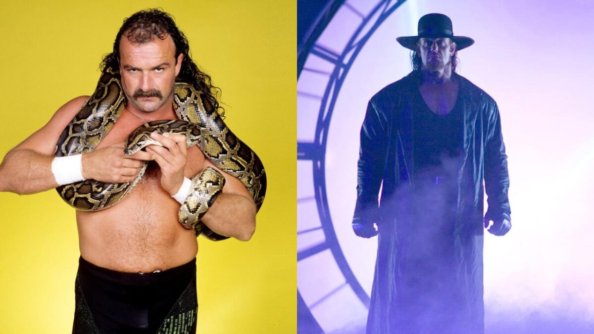 WATCH: The Undertaker goes off on legendary boxer Evander Holyfield's son for wearing jewelry during WWE match 3 Jake Roberts and The Undertaker