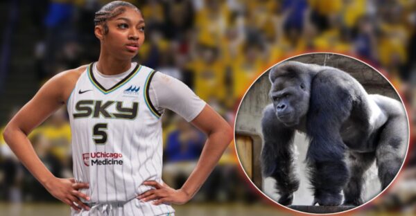 Angel Reese distances herself from battle against gorilla