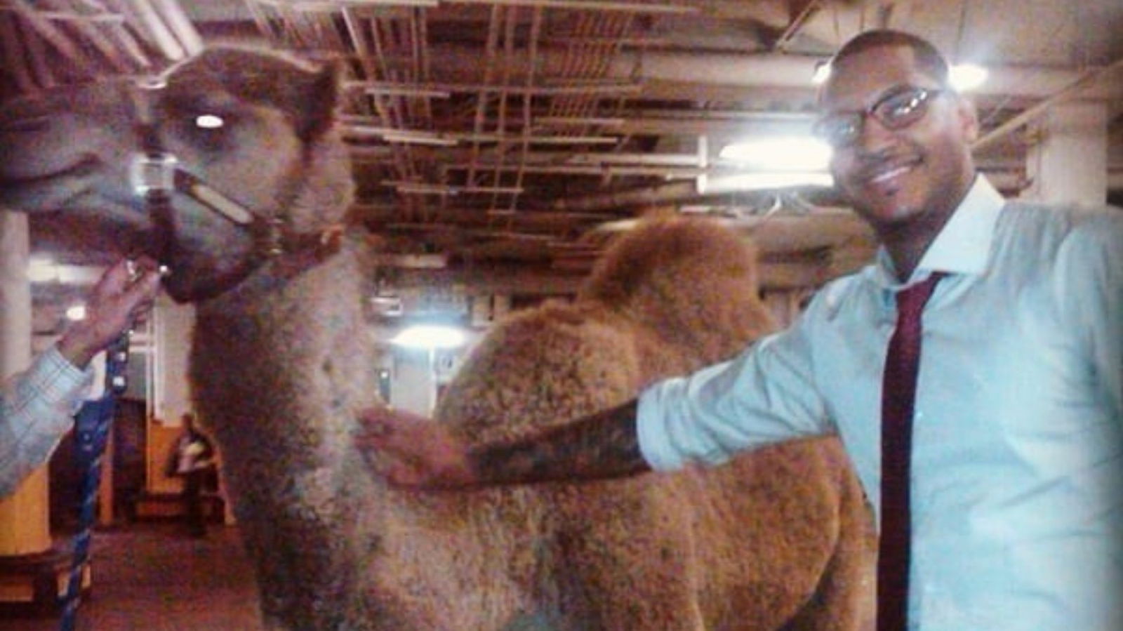Carmelo Anthony