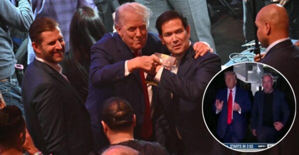 Donald Trump Walks Out to ‘Electric’ UFC 316 Crowd Amidst Elon Musk Beef