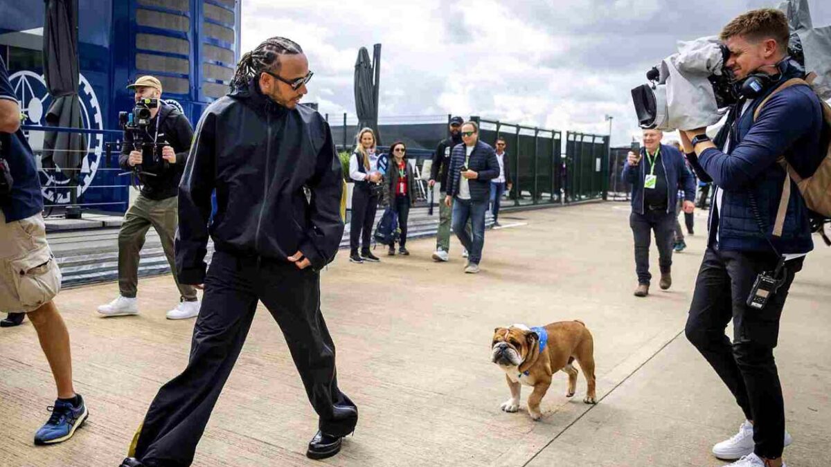 Lewis Hamilton and Roscoe, via IMAGO
