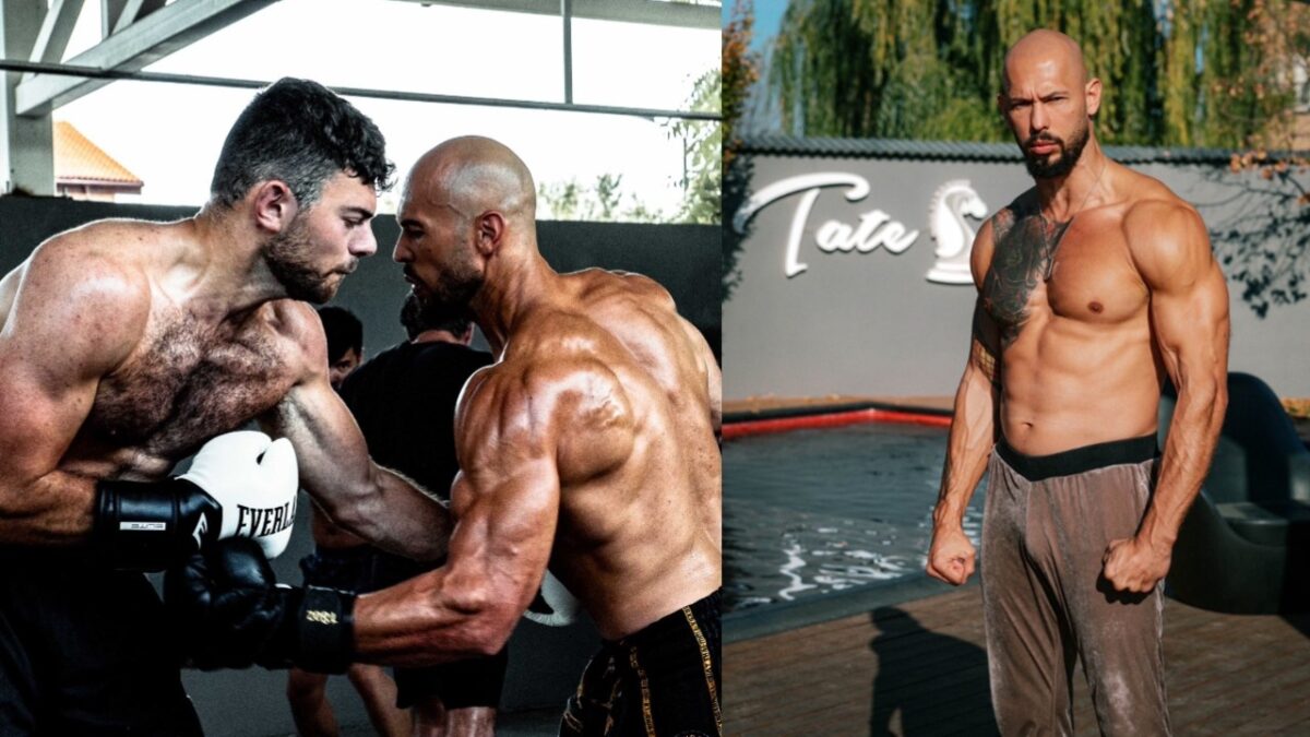 Andrew tate sparring session