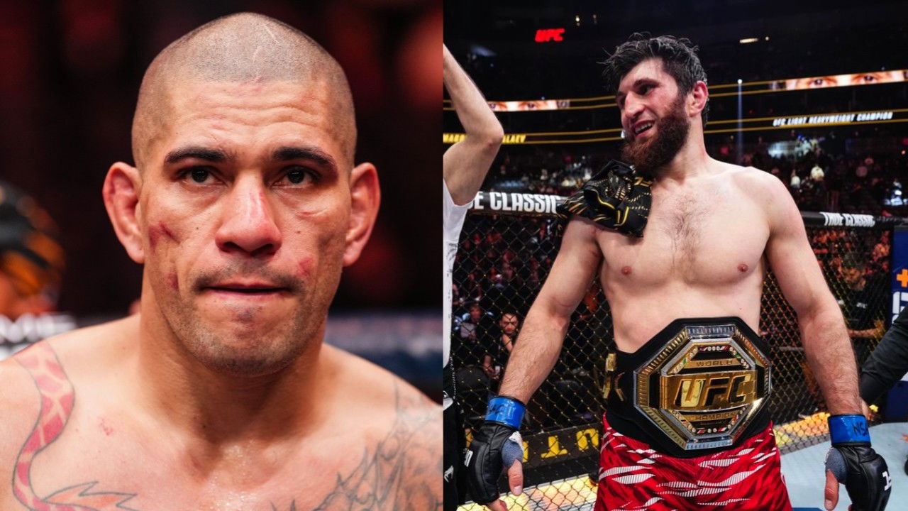 Magomed Ankalaev Asks Alex Pereira to Skip Wrestling With Promise to Make Rematch a Strike Fest