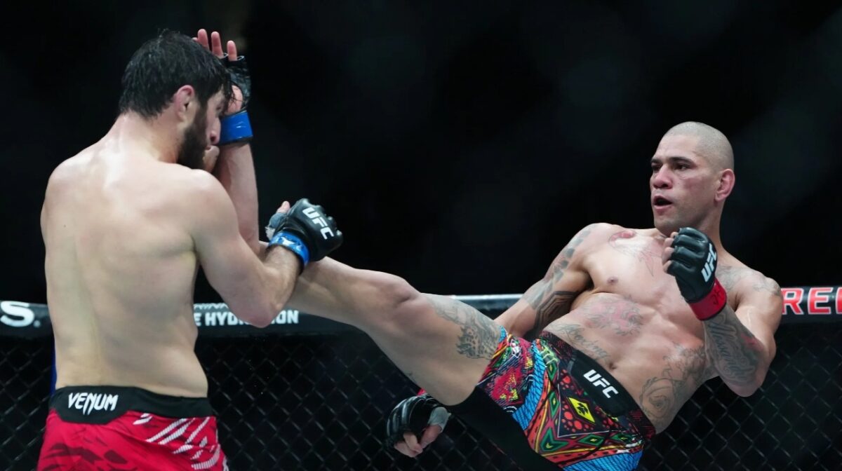 Alex Pereira vs Magomed Ankalaev at UFC 313
