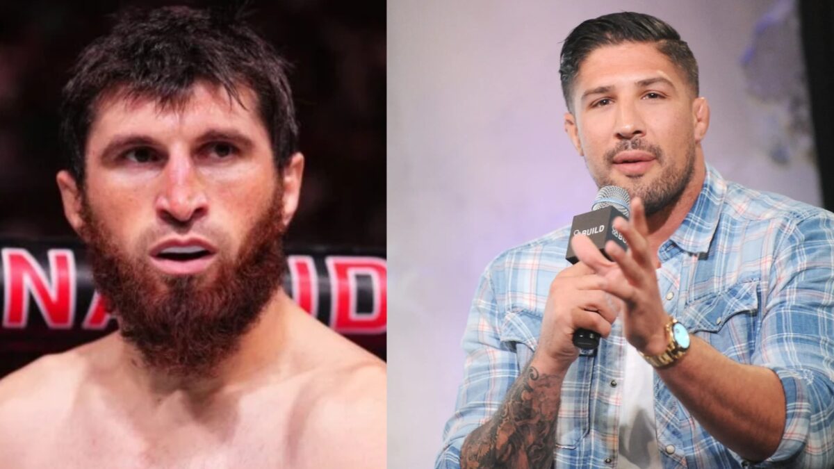 Magomed Ankalaev gets snubbed by Brendan Schaub