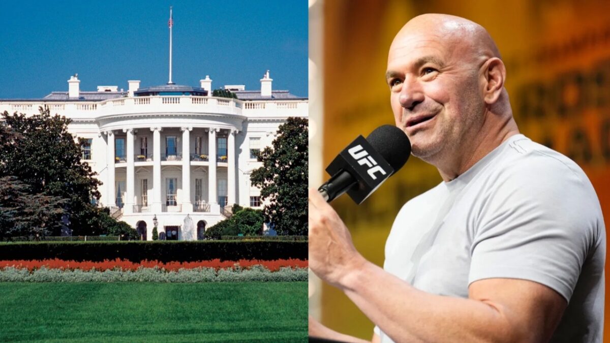 Dana White's whopping amount for UFC White House lawn