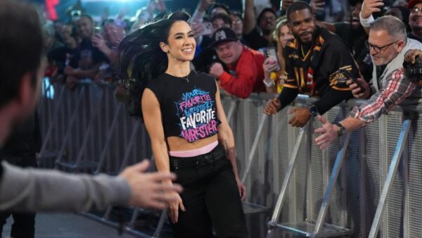 AJ Lee Drags a Fan for Harassing Her by Posting an AI-Generated Kissing Video of Theirs After Recent Meet Up