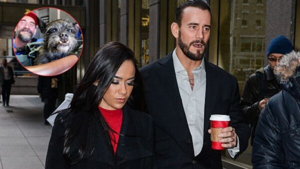 ‘Devastated’ CM Punk and AJ Lee Mourn Their Pet Larry’s Unfortunate Demise with a Gut-Wrenching note