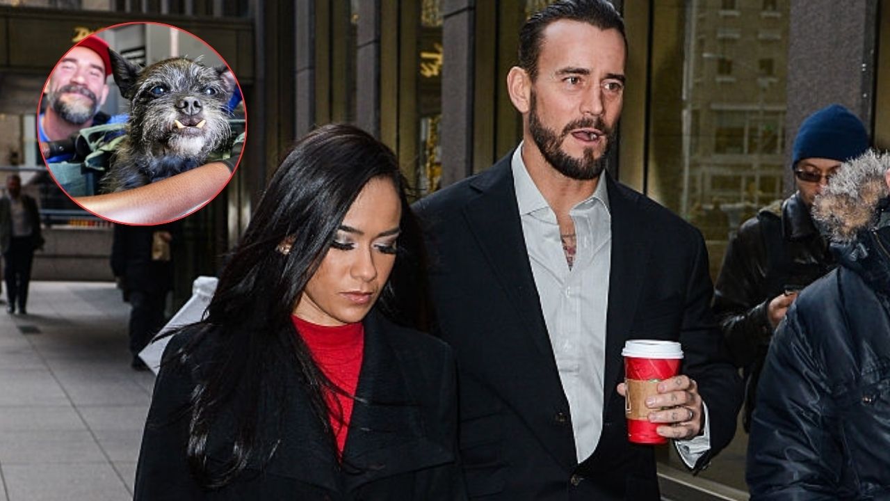 ‘Devastated’ CM Punk and AJ Lee Mourn Their Pet Larry’s Unfortunate Demise with a Gut-Wrenching note