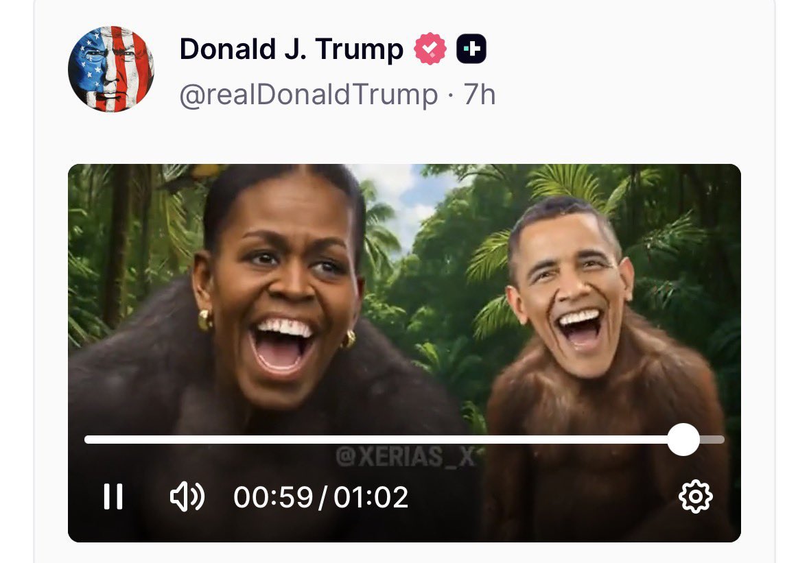 Michelle and Barack Obama depicted as monkeys