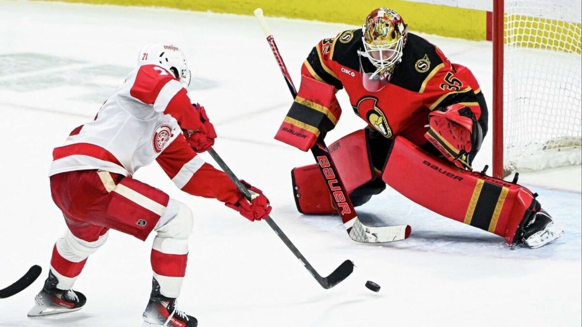 Dylan Larkin scored the overtime goal to win the game for Detroit Red Wings (Image via Connecticut Post)
