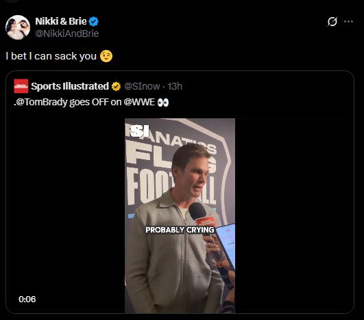 Nikki and Brie Bella commented