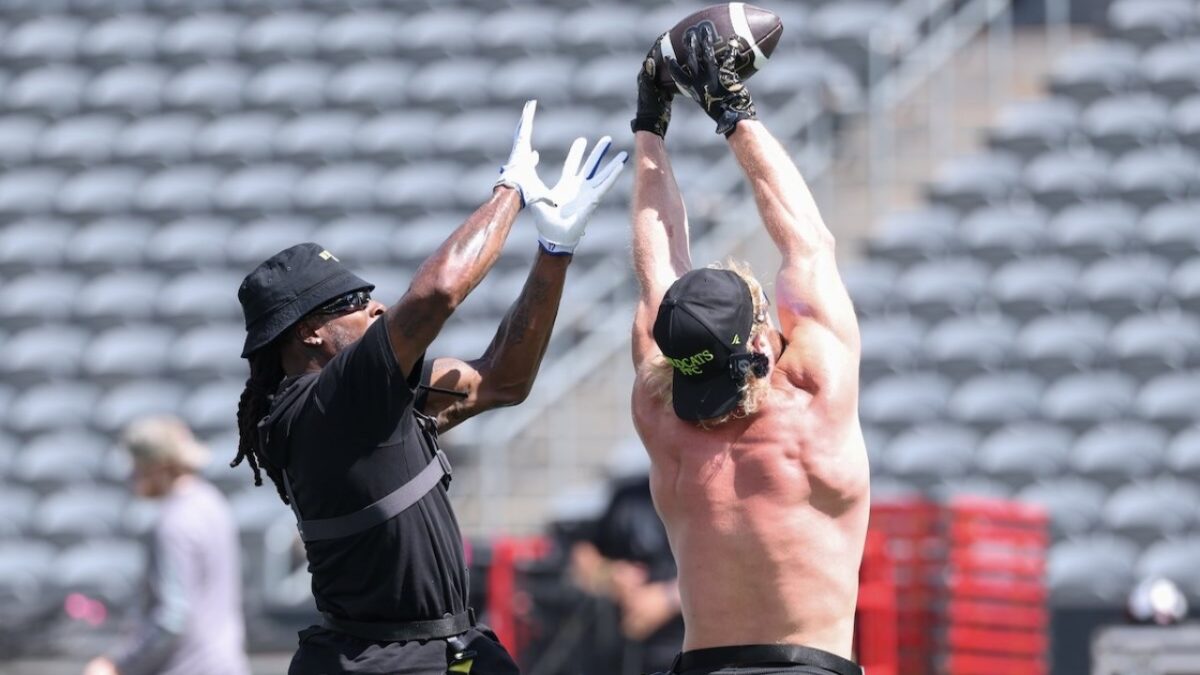 Logan Paul (right) intercepting the ball before it reaches Davante Adams