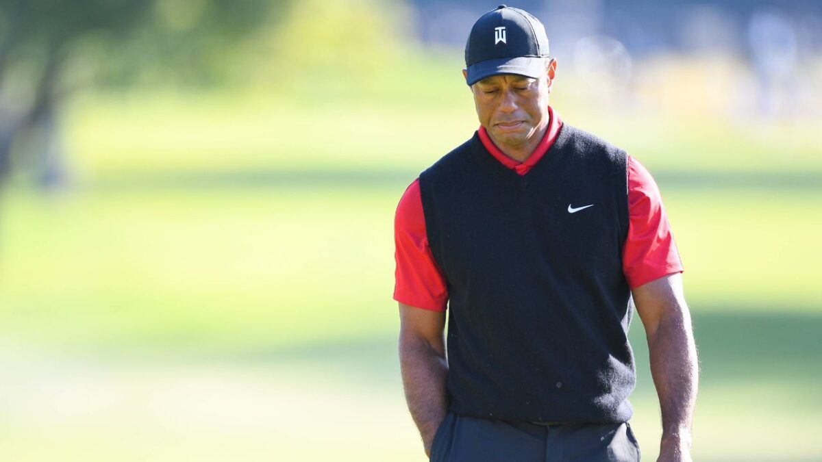 Martina Navratilova Drops the Hammer on Tiger Woods Following Shocking DUI Arrest 2 Tiger Woods