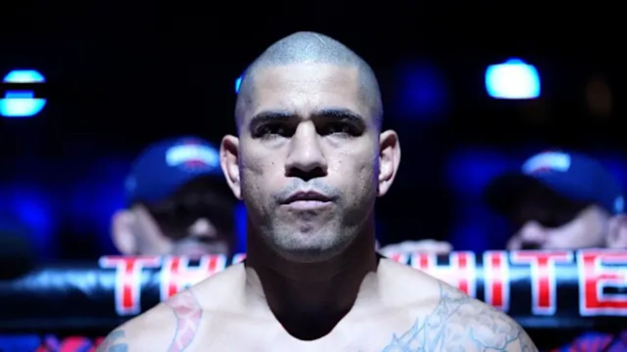 UFC Light Heavyweight Champion Rules Out Alex Pereira Title Showdown at 205 Pounds