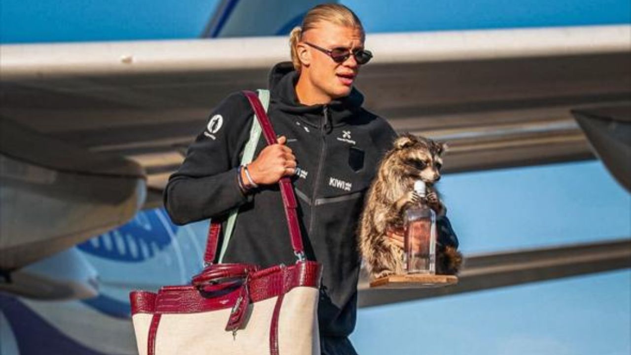 Erling Haaland Finally Agrees To Dinner With Tom Holland After Their Erling Haaland Finally Agrees To Dinner With Tom Holland After Their
